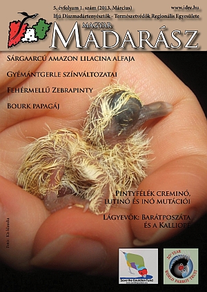 Magyar Madarász tízennegyedik szám