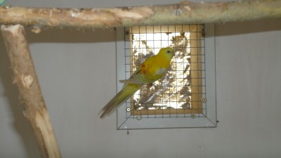 DSC02545.jpg