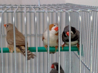 201203301020.jpg