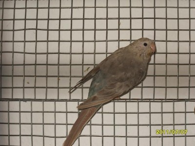 SDC168923.JPG