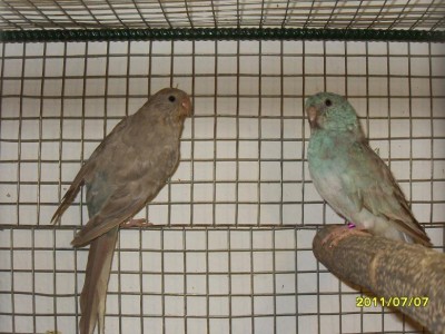 SDC168944.JPG