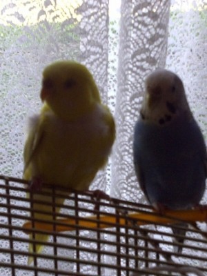 IMG-20120502-00184.jpg