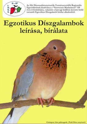 Kiadvány 2.jpg