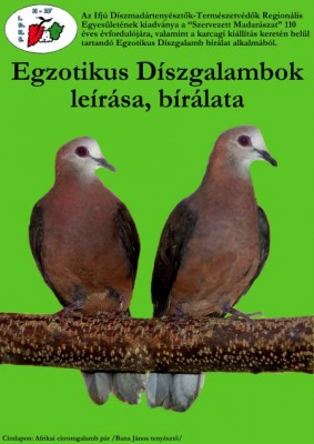 Kiadvány 3.jpg