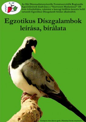 Kiadvány 4.jpg
