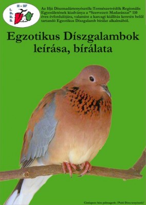 Kiadvány 5.jpg