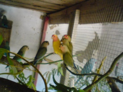 DSC00214.JPG