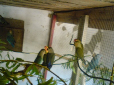 DSC00218.JPG