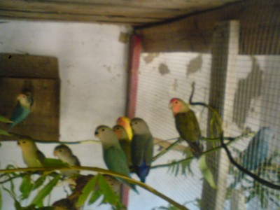 DSC00228.JPG
