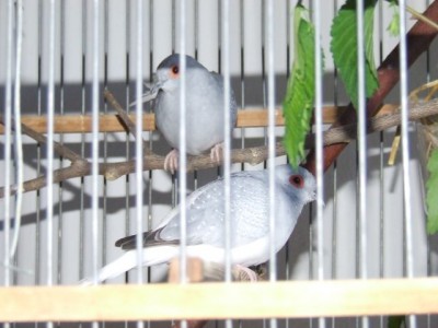 DSCF7213.jpg
