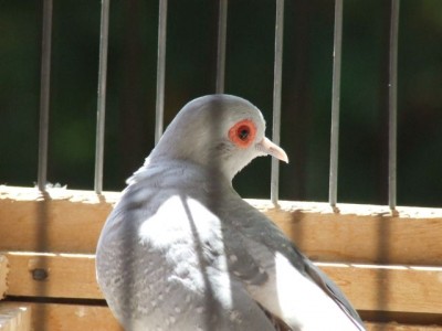 DSCF7274.1.jpg