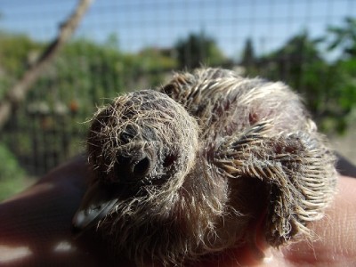 DSCF5877.JPG