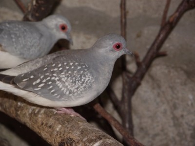 DSCF5897.JPG
