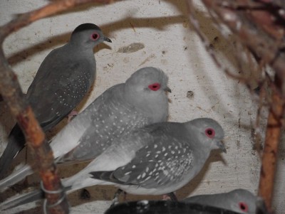 DSCF5895.JPG