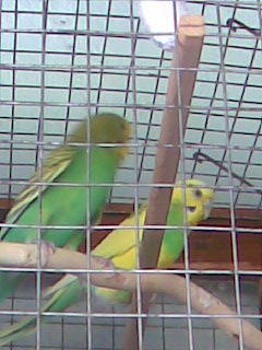 Kép006.jpg