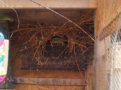 20130430_162243.jpg