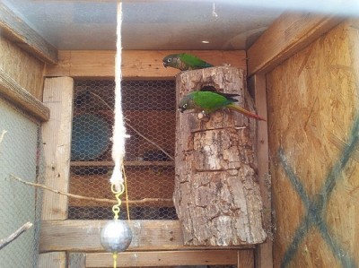 20130430_162223.jpg