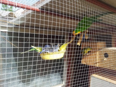 20130430_164327.jpg