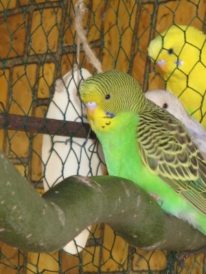 IMG_0081.jpg
