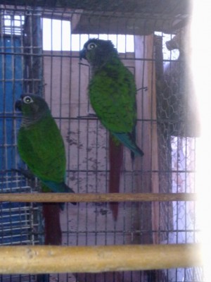 20130825127.jpg