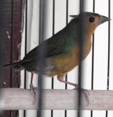 DSCF9540.JPG