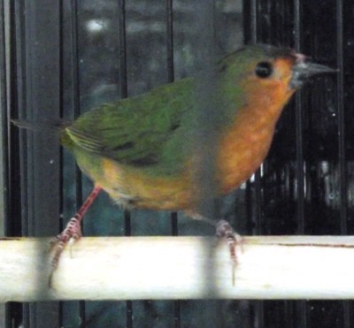 DSCF9534.JPG