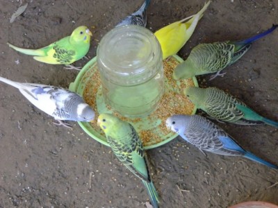 DSCF8708.JPG