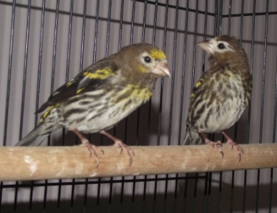 DSCF4817.JPG