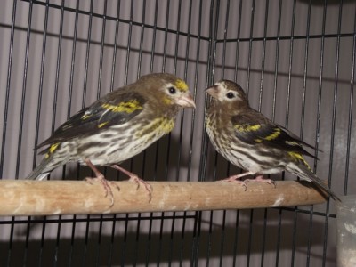 DSCF4820.JPG