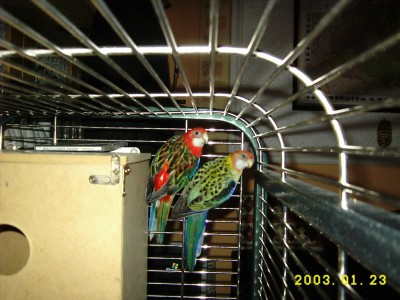 DSCI2155.JPG