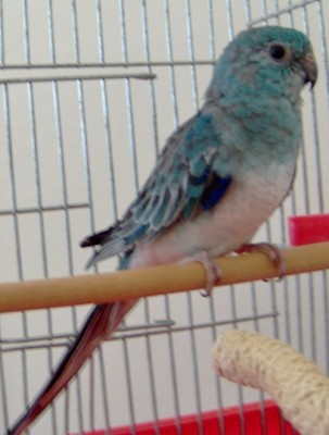 HPIM0029_4.JPG