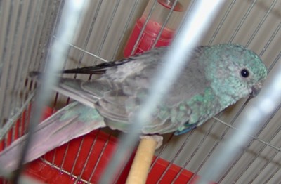 HPIM0025_2.JPG