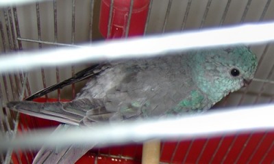 HPIM0024_1.JPG
