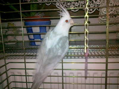 20111120529.jpg