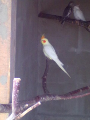 20110701118.jpg