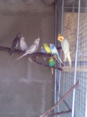 20110701121.jpg
