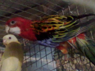 20120222038.jpg