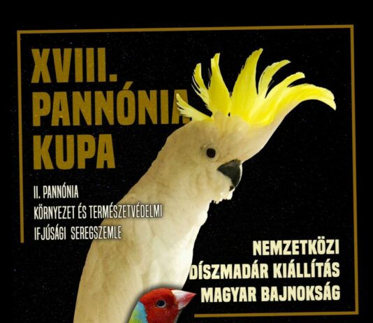 Pannónia kupa